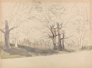  作： David Cox