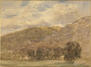  作： David Cox