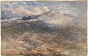  作： David Cox