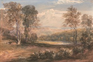 Wyellä 作： David Cox