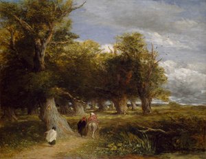 森のスカート、1855 作： David Cox