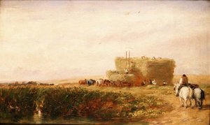 ザ・ヘイフィールド 作： David Cox
