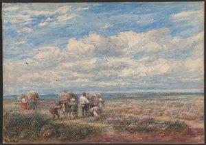  作： David Cox