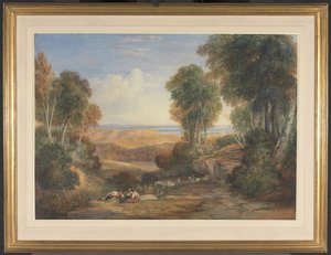  作： David Cox