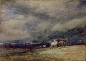 ザ・ナイト・トレイン 作： David Cox