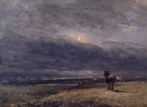 夜行列車 作： David Cox