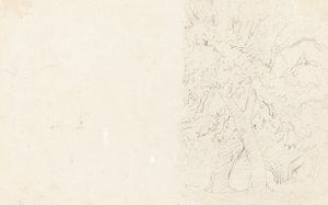 木[裏] 作： David Cox