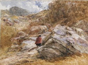 Bettws-y-Coedの峠、1851年 作： David Cox the elder