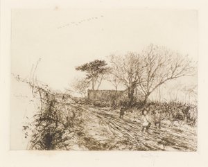 野生のガチョウ 作： David Foggie