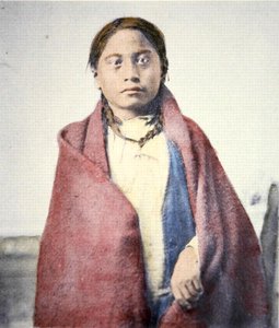 クロウフット（d.1890）（カラー写真） 作： David Frances Barry