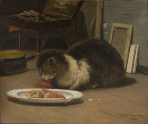 スタジオの猫