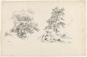 栗と松、1869年。 作： David Johnson