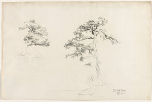 パイン、レイクジョージ、1871年。 作： David Johnson