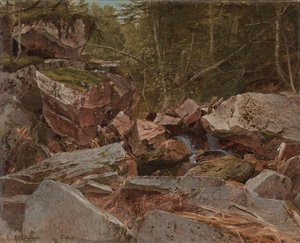 研究、ノースコンウェイ、ニューハンプシャー、1851年 作： David Johnson