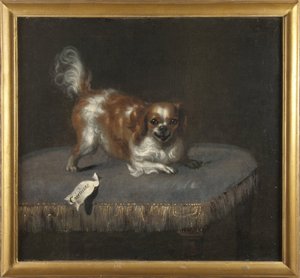 犬の「コートイザン」