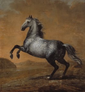 リトルイングリッシュマン、キングカールXI（1655-97）の馬 作： David Klöcker Ehrenstrahl