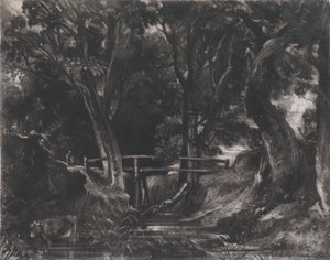 A Dell、ヘルミンガム パーク、サフォーク、1830 年。 作： David Lucas