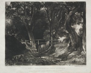 風景のさまざまな主題、ジョン・コンスタブルが描いた絵からの英国の風景の特徴、R.A.: サフォーク州ヘルミンガム公園の森の中のデル 作： David Lucas