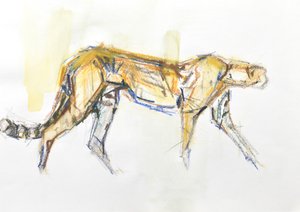 チーター、2020年（紙にクレヨンと水彩） 作： David Mayer