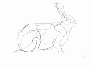 Hare, 2024（紙に竹葦ペンとインク）