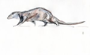 走るカワウソ、2022年（紙に水彩/クレヨン） 作： David Mayer