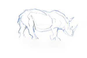 シロサイ、2020年（紙にクレヨン） 作： David Mayer