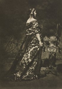 カメラワーク：ポートレート-ガウンと棺、1909。 作： David Octavius Hill