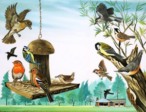 ワンス・アポン・ア・タイム』より「庭のテーブルを囲むさまざまな鳥たち」挿絵