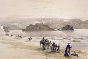 1839年2月27日、アラビアのアカバ湾、グレア島、「聖地」のボリュームIIIのプレート108。 1849 作： David Roberts