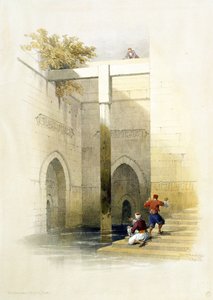 エジプトとヌビアのカイロ、アルラウダ島のNileometer、Vol.3 作： David Roberts