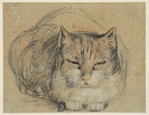 猫、「切り指」のための習作（レクト）、1809年頃（敷紙に黒、赤と白のチョーク、黒と白のチョーク） 作： David Wilkie