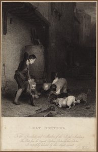 ラットハンター 作： David Wilkie