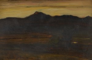  作： David Young Cameron