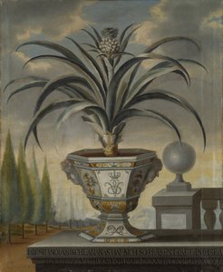 パイナップル工場、1729 作： David von Coln