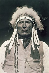 ウッドレッグ、1876年のリトルビッグホーンの戦いで戦ったシャイアン北部の戦士 作： DeLancey W. Gill
