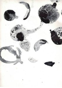 流動的な抽象的な形 作： Deb Chaney