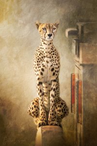 威風堂々としたチーターの肖像 作： 