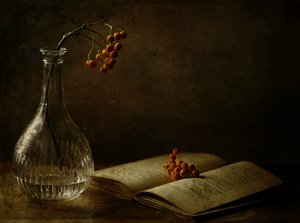  作： Delphine Devos