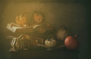 作： Delphine Devos