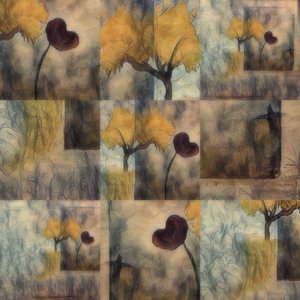  作： Delphine Devos