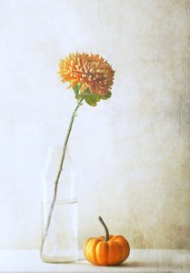  作： Delphine Devos
