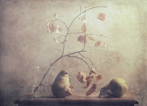  作： Delphine Devos