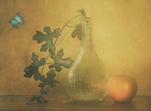  作： Delphine Devos