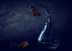  作： Delphine Devos