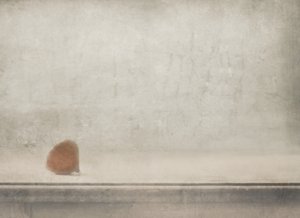  作： Delphine Devos