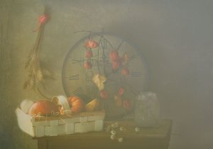  作： Delphine Devos