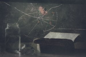  作： Delphine Devos