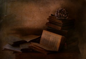  作： Delphine Devos