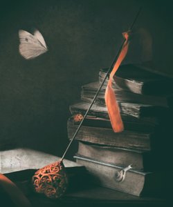  作： Delphine Devos