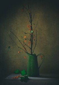  作： Delphine Devos